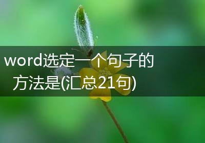 word选定一个句子的方法是(汇总21句)