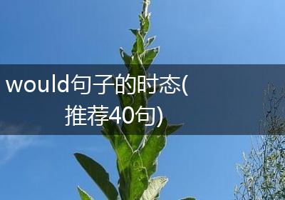would句子的时态(推荐40句)