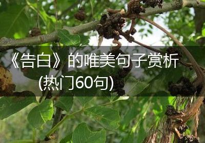 《告白》的唯美句子赏析(热门60句)