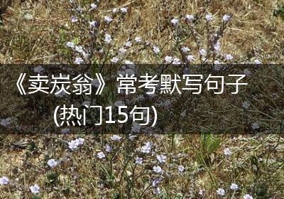 《卖炭翁》常考默写句子(热门15句)