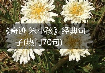 《奇迹 笨小孩》经典句子(热门70句)