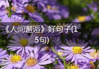 《人间邂逅》好句子(15句)