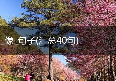 _像_句子(汇总40句)