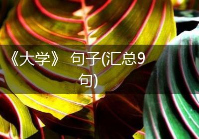 《大学》 句子(汇总9句)