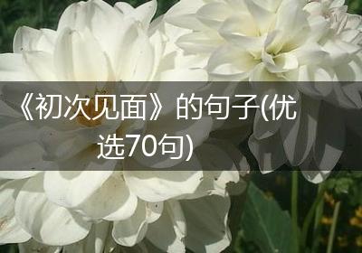 《初次见面》的句子(优选70句)