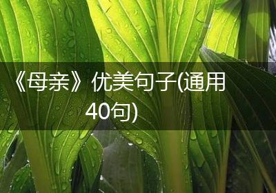 《母亲》优美句子(通用40句)