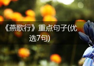 《燕歌行》重点句子(优选7句)
