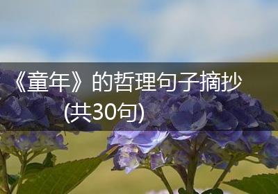 《童年》的哲理句子摘抄(共30句)