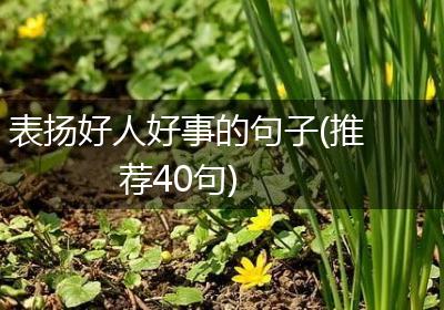 表扬好人好事的句子(推荐40句)