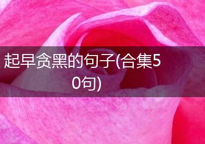 起早贪黑的句子(合集50句)