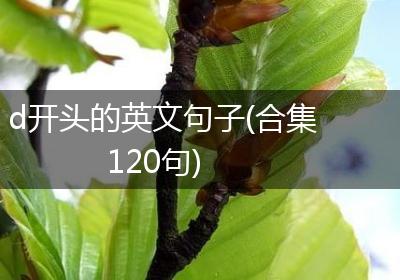 d开头的英文句子(合集120句)