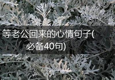 等老公回来的心情句子(必备40句)
