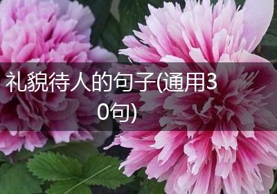 礼貌待人的句子(通用30句)