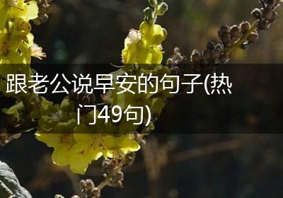 跟老公说早安的句子(热门49句)