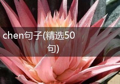 chen句子(精选50句)