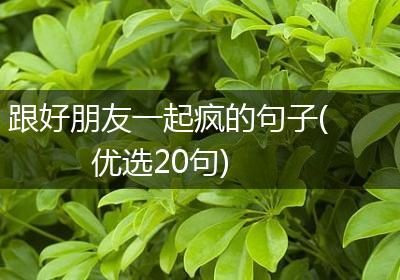 跟好朋友一起疯的句子(优选20句)