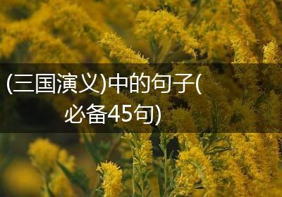(三国演义)中的句子(必备45句)