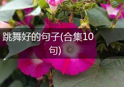 跳舞好的句子(合集10句)