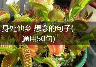 身处他乡 想念的句子(通用50句)