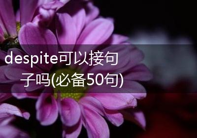 despite可以接句子吗(必备50句)
