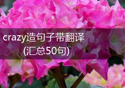 crazy造句子带翻译(汇总50句)