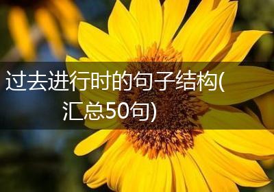 过去进行时的句子结构(汇总50句)