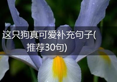 这只狗真可爱补充句子(推荐30句)