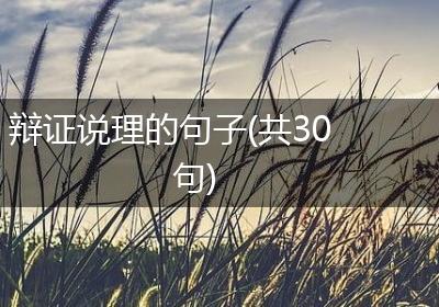 辩证说理的句子(共30句)