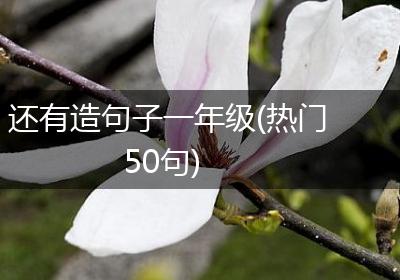 还有造句子一年级(热门50句)