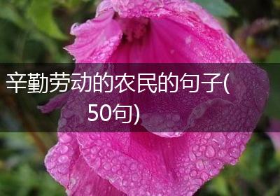 辛勤劳动的农民的句子(50句)