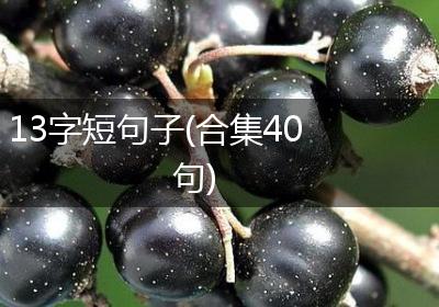 13字短句子(合集40句)