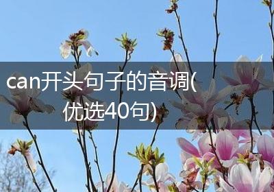 can开头句子的音调(优选40句)