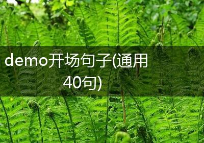 demo开场句子(通用40句)