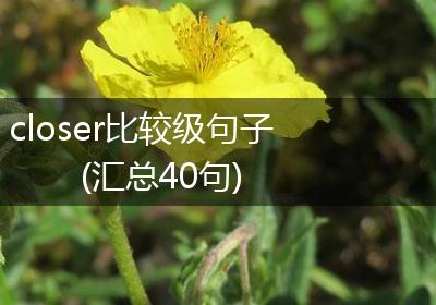 closer比较级句子(汇总40句)