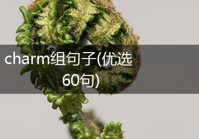 charm组句子(优选60句)