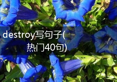 destroy写句子(热门40句)