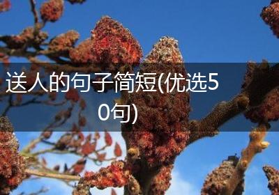 送人的句子简短(优选50句)