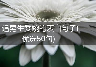 追男生委婉的表白句子(优选50句)