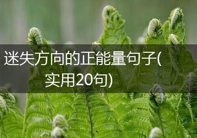 迷失方向的正能量句子(实用20句)