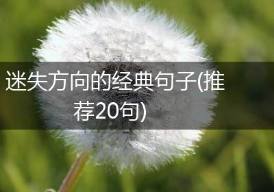迷失方向的经典句子(推荐20句)