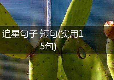 追星句子 短句(实用15句)
