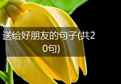 送给好朋友的句子(共20句)