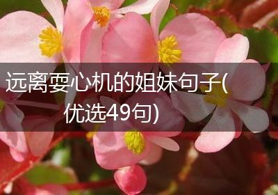 远离耍心机的姐妹句子(优选49句)