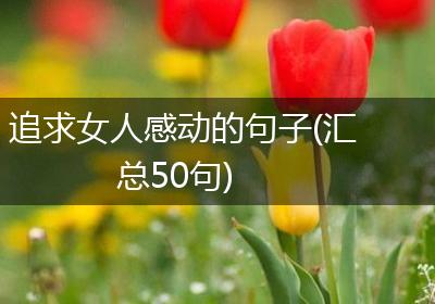 追求女人感动的句子(汇总50句)