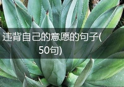 违背自己的意愿的句子(50句)