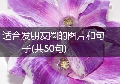 适合发朋友圈的图片和句子(共50句)