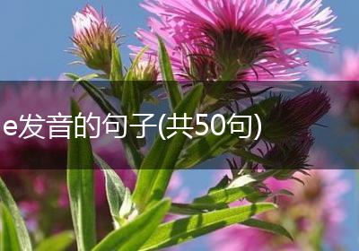 e发音的句子(共50句)