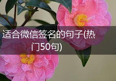 适合微信签名的句子(热门50句)
