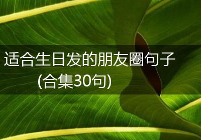 适合生日发的朋友圈句子(合集30句)