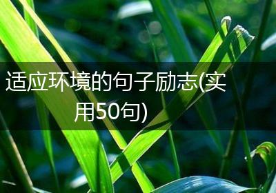 适应环境的句子励志(实用50句)